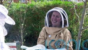 Beekeeping has gone viral – but how easy is it?