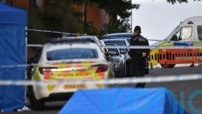 Mother of stabbing spree victim slams ‘massive’ failings after inquiry report