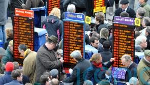 MPs told ‘no evidence’ of link between sports advertising and problem gambling
