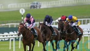 Pretty Polly appeals dismissed by Irish Horseracing Regulatory Board
