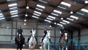 Newly-refurbished police horse unit named after late colleague