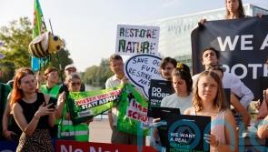 EU politicians back major plan to protect nature and fight climate change