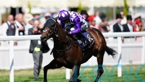 Shaquille team anticipating late call on July Cup jockey