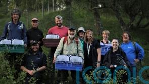 Rare moths released in Cairngorms to help threatened population