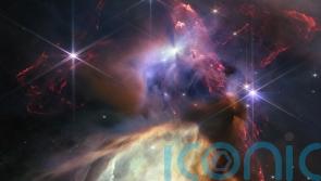 Nasa releases James Webb telescope image on one-year anniversary