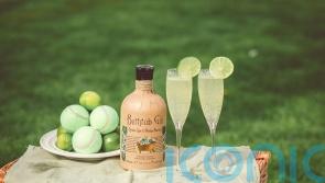 7 sassy spirits to celebrate summer