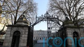 TD expresses concern about aggression toward politicians outside Oireachtas