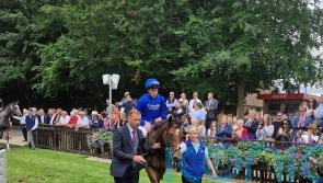 Appleby confident Mystery can advertise Star status