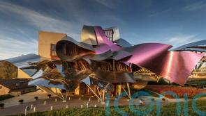 3 of the best vineyards in the world – and why you should visit them