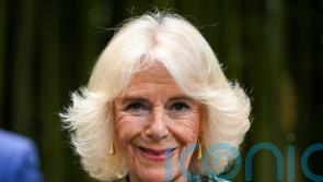 Queen confesses to keeping flask of tea in her official car