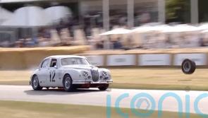 Spectators escape with minor injuries after wheel flies into crowd at Goodwood