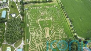Farmer carves world record-setting image of Tutankhamun into field of maize