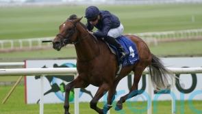 O’Brien hoping for Superlative performance from City Of Troy