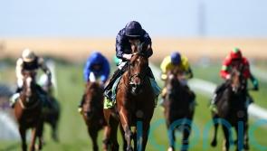 City Of Troy simply sensational in Superlative Stakes