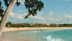 ‘British backpacker’ victim of stabbing in Australian beach resort
