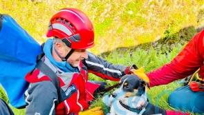 Dog rescued after 60m waterfall plunge