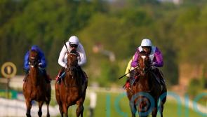 Artistic Star to test Leger claims at Goodwood
