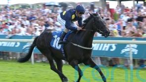 Tate encouraged by Royal Aclaim’s six-furlong effort at York
