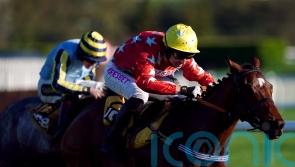 Scriptwriter sights set on Ebor after going close at the weekend