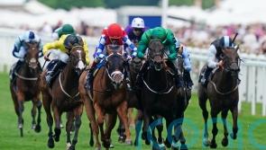 Relief Rally aiming to plunder Super Sprint riches for Haggas