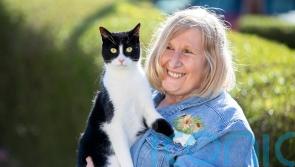 ‘Intuitive’ pet who ‘hears’ for deaf owner named National Cat of the Year