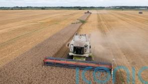 Russia halts deal allowing Ukraine to ship grain in blow to global food security