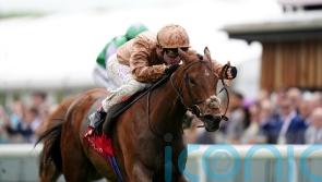 Nunthorpe bid on the radar for Nymphadora