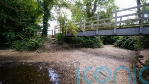 ‘Ideological barrier’ between Government and nature policies, says Green MP