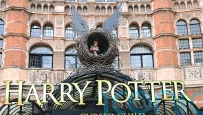 Harry Potter And The Cursed Child rehearsal book to be sold at auction