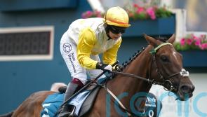 York Stakes option for Ebor hopeful Kihavah