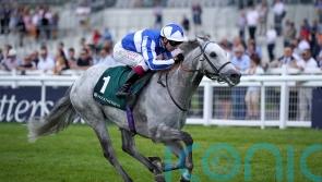 Art Power to make speedy reappearance in Sapphire heat