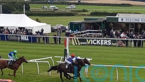 Quercus makes all for fourth Catterick victory