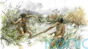 Early humans used expert woodwork skills to make hunting weapons – study