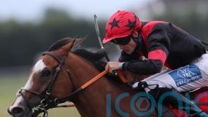 McGuiness lining up sizeable squad for Galway Festival