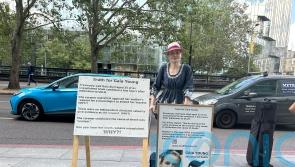 Gaia Young’s mother demonstrates opposite consultants on strike