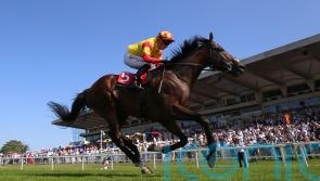 Woods eyeing York Stakes for Savvy Victory