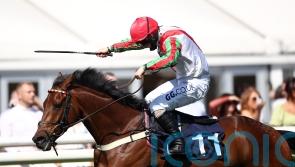 Bowen hunting Plate hat-trick for Francky Du Berlais