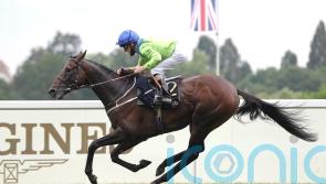 Gold Cup winner Subjectivist retired