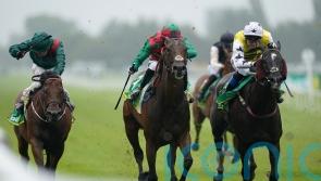Commanche Falls pounces late to secure Hackwood prize