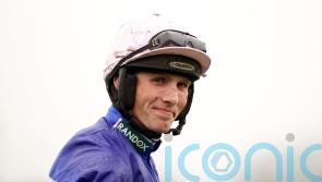 Cobden excels as Born Famous takes Summer Plate