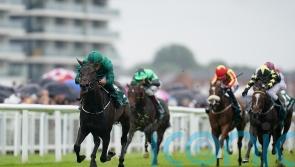 Relief Rally powers to Super Sprint glory