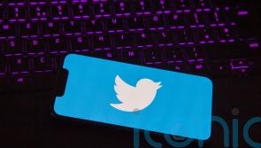 Elon Musk shares plans to replace Twitter bird logo with an X