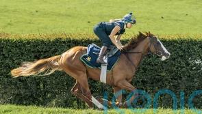 Meade team considering York Stakes date for Dubai Mile