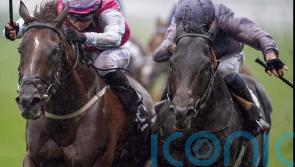 Fresh primed for International defence at Ascot
