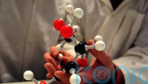 Edinburgh University scientists awarded £46.3m for research into ‘dark genome’