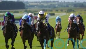 Dods favouring Curragh contest for Commanche Falls