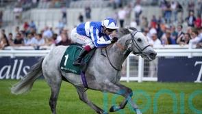 Art Power set to continue Curragh love affair