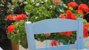 How to bring a touch of the Mediterranean to your garden