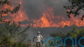 Night-time evacuations take place on Greek islands as wildfires rage