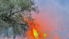 Wildfires ‘will clearly happen again’ and travel industry plans ‘need overhaul’